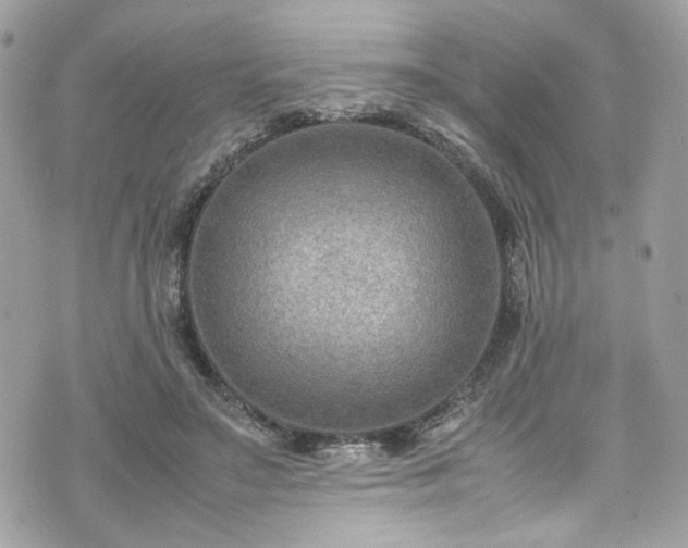 X0000070370499200606161321