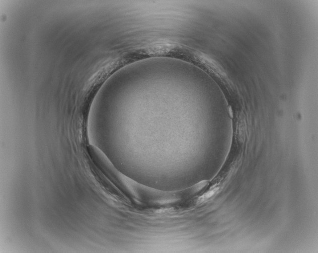 X0000070370501200606161321