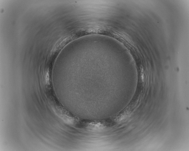 X0000070370502200606161321