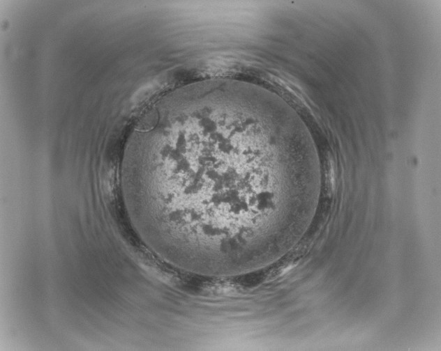 X0000070370503200606161321