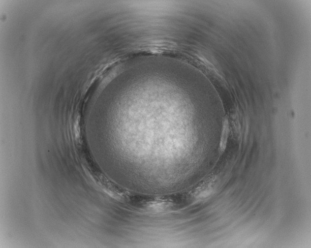 X0000070370504200606161321