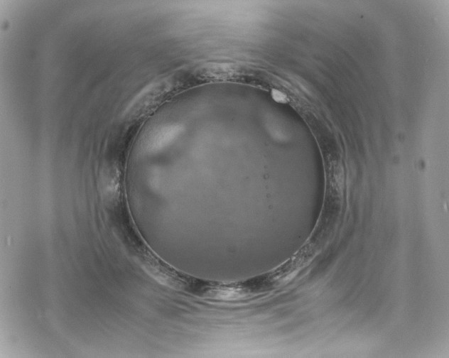 X0000070370507200606161321