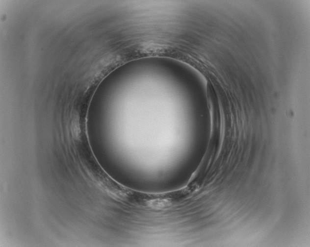 X0000070370508200606161321