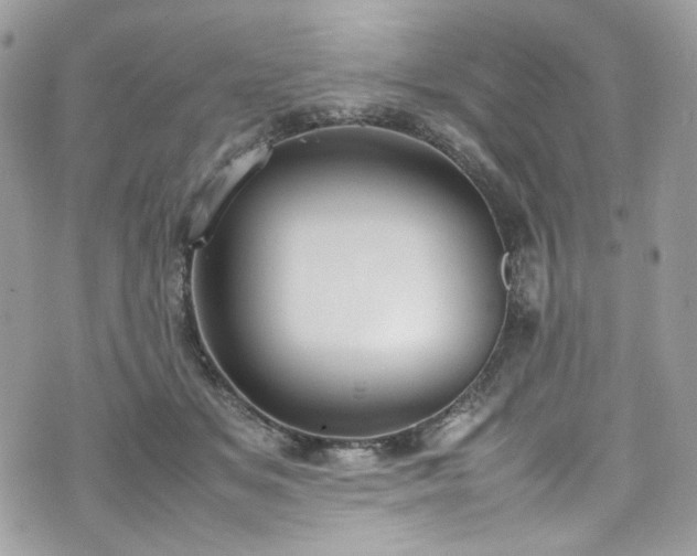 X0000070370509200606161321