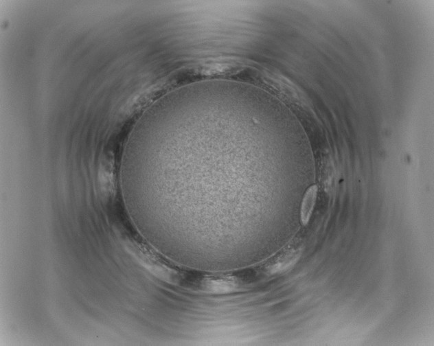 X0000070370510200606161321