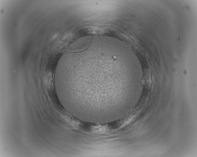 X0000070370511200606161321