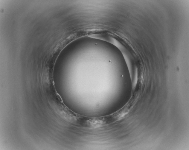 X0000070370512200606161321