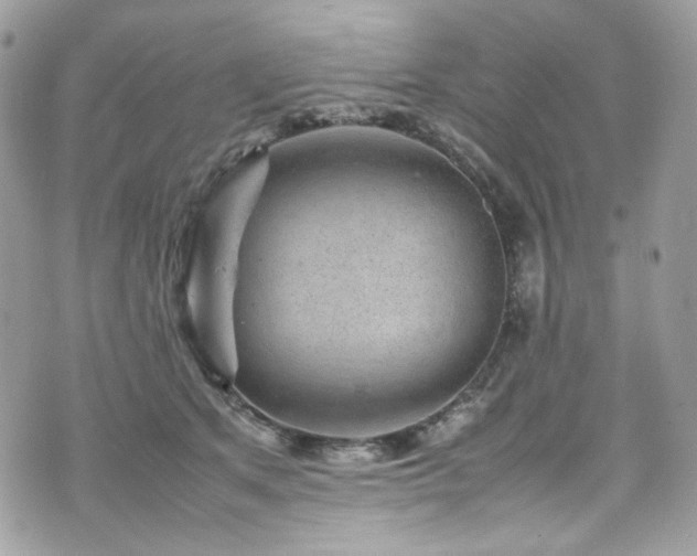 X0000070370513200606161320