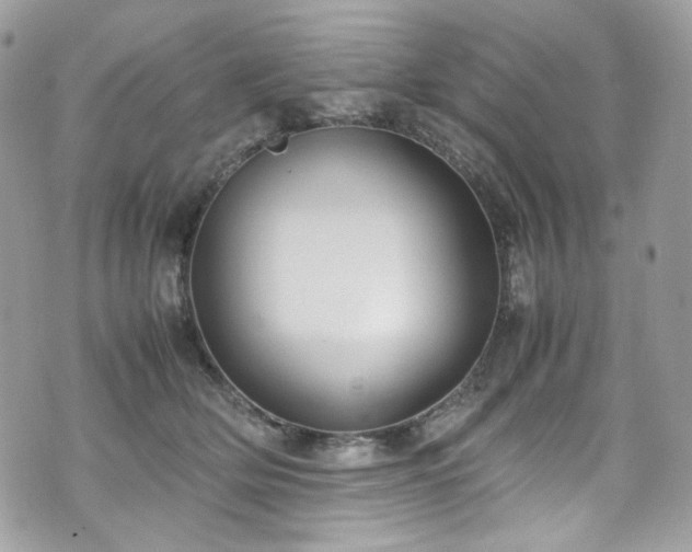 X0000070370514200606161320