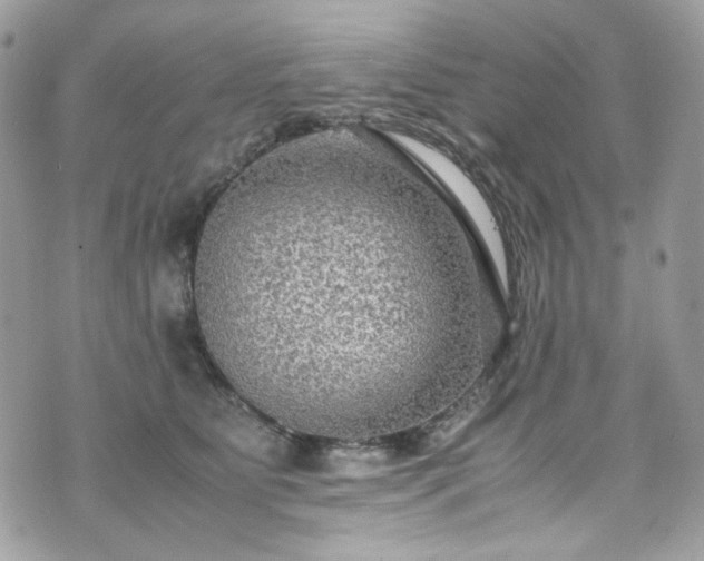 X0000070370515200606161320