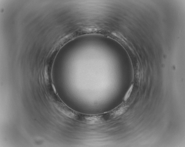 X0000070370516200606161320