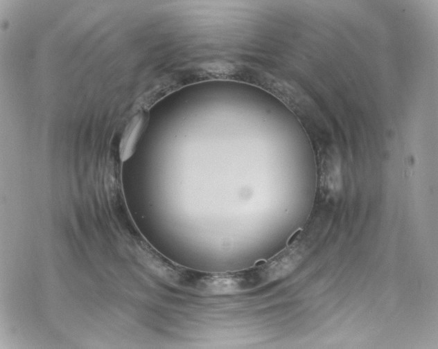 X0000070370518200606161320