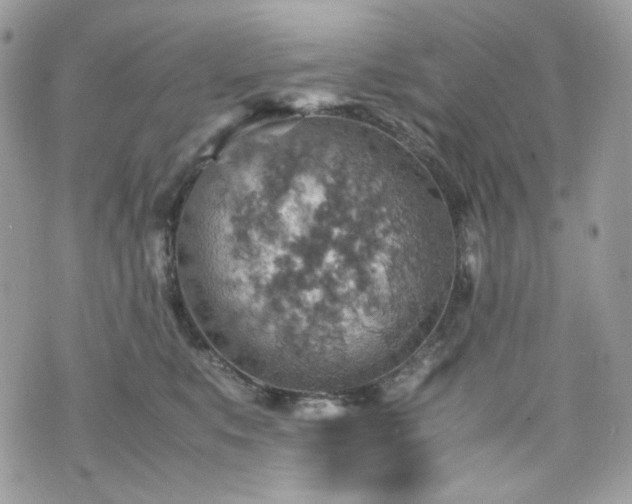 X0000070370519200606161320