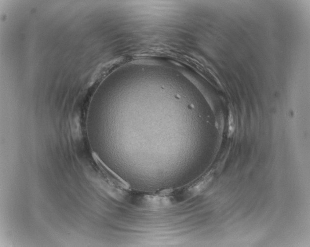 X0000070370520200606161320