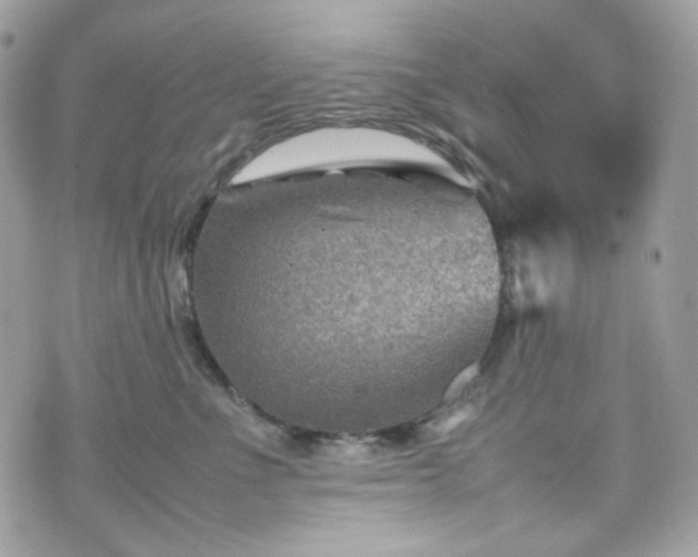 X0000070370523200606161320