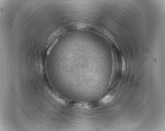 X0000070370524200606161320