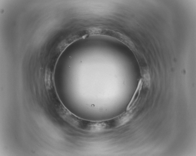 X0000070370525200606161320