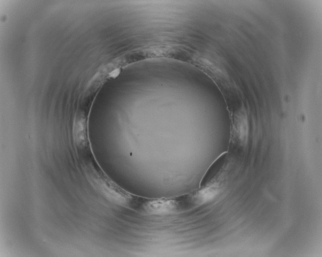 X0000070370526200606161320