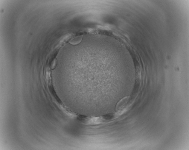 X0000070370527200606161320