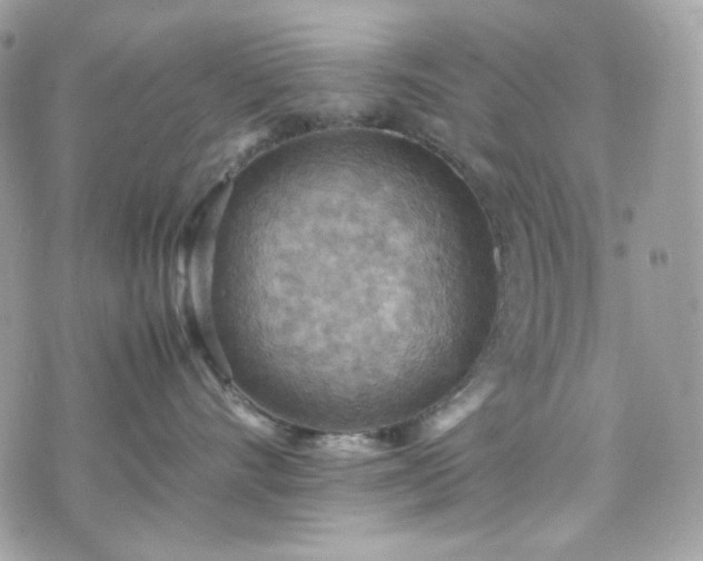 X0000070370528200606161320