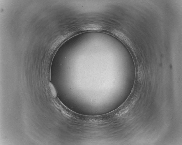 X0000070370529200606161319