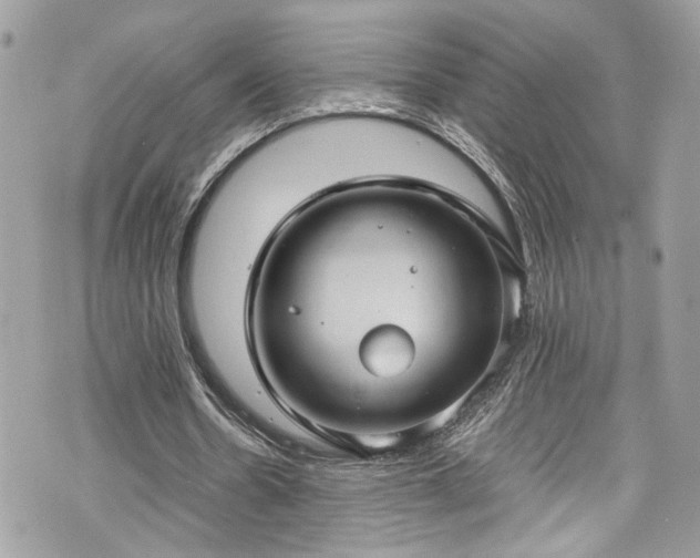 X0000070370530200606161319