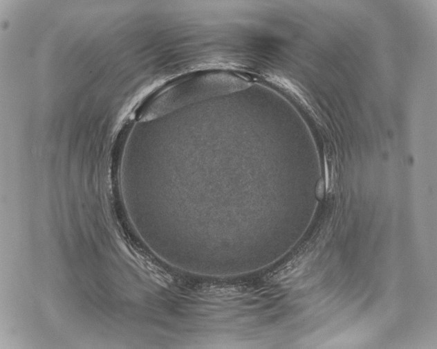 X0000070370531200606161319