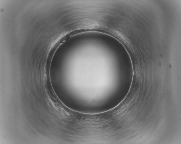 X0000070370532200606161320