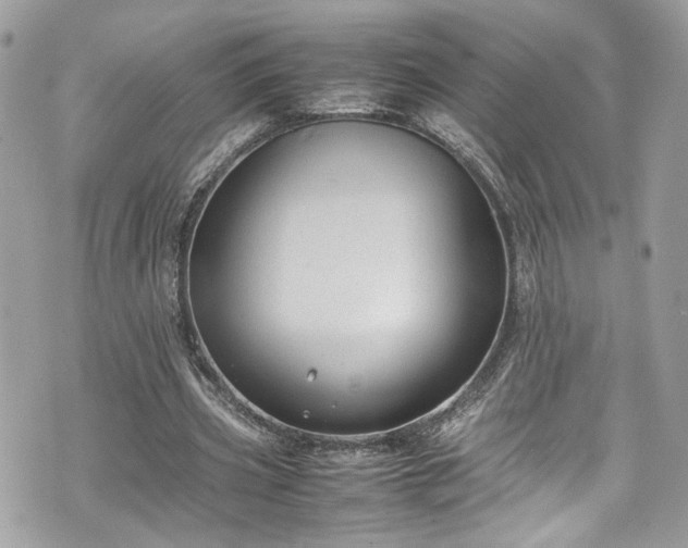 X0000070370533200606161320