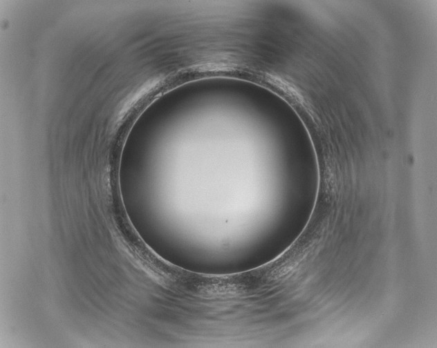 X0000070370535200606161320