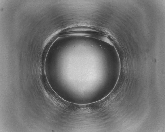 X0000070370536200606161320