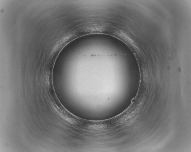 X0000070370537200606161320