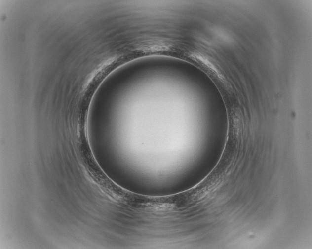 X0000070370539200606161320