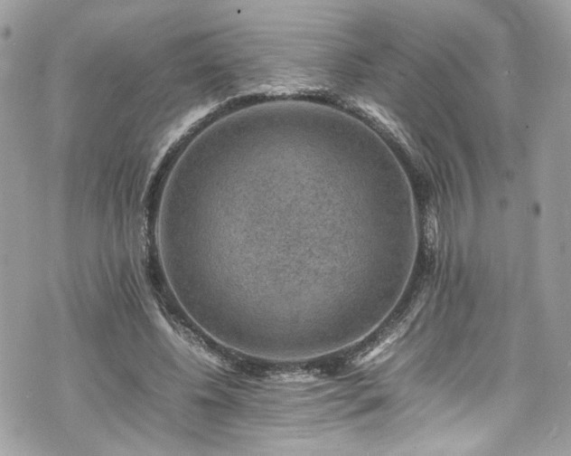 X0000070370540200606161320