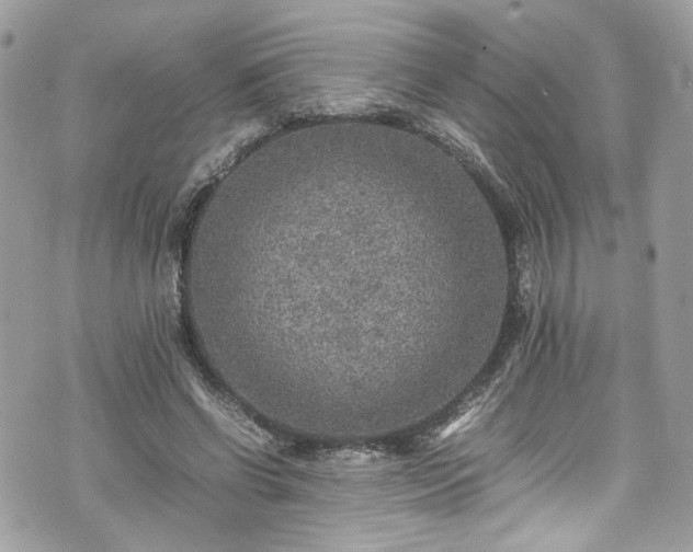 X0000070370542200606161320