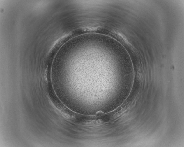 X0000070370543200606161320