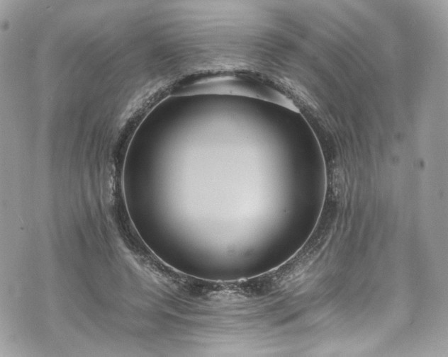 X0000070370544200606161320