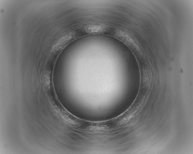 X0000070370545200606161320