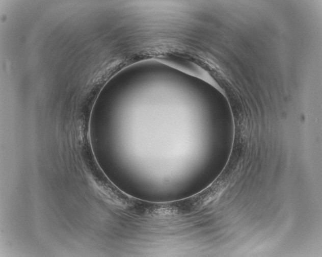 X0000070370546200606161320