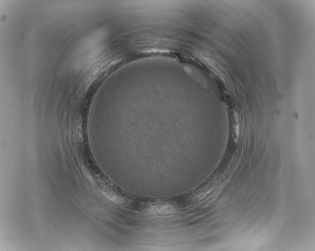 X0000070370547200606161320