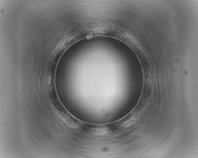 X0000070370548200606161320