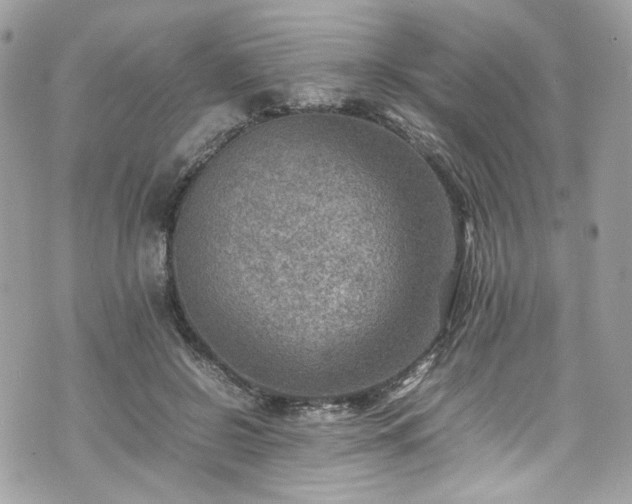 X0000070370550200606161320