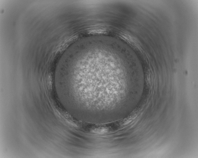 X0000070370551200606161320