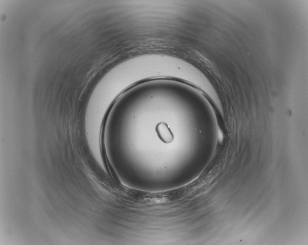 X0000070370552200606161320