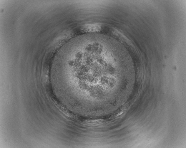 X0000070370553200606161320