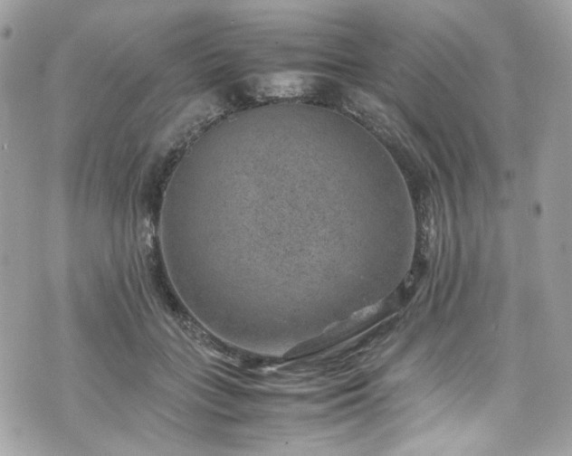 X0000070370555200606161320