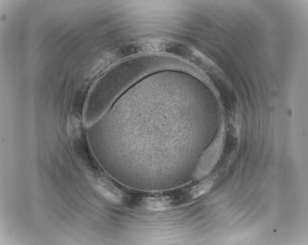 X0000070370556200606161320