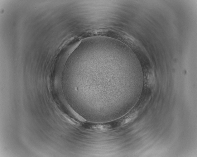 X0000070370558200606161320