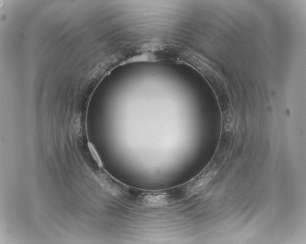 X0000070370560200606161320