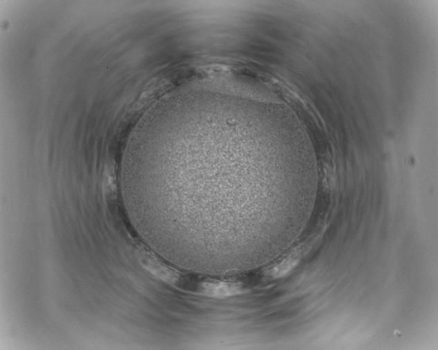 X0000070370561200606161320